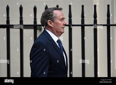 International Trade Secretary Liam Fox Arriving At 10 Downing Street