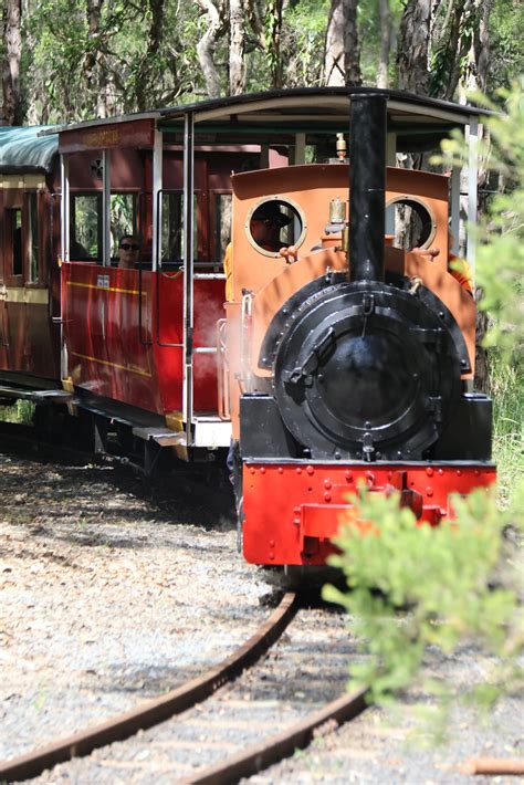 School Holiday Steam Train Rides - Illawarra Light Railway Museum Society