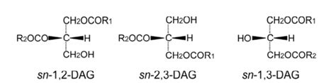 甘油二酯结构 知乎