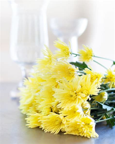 Gorgeous Bouquet of Yellow Daisies. Gorgeous Bouquet of Yellow Daisies. Stock Photo - Image of ...