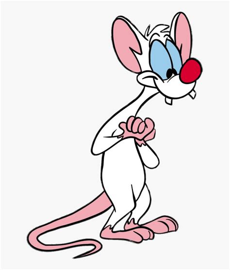 Pinky And The Brain Pink Free Transparent Clipart Clipartkey