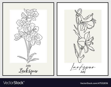 Set Of Larkspur Flower Line Art Drawings Vector Image