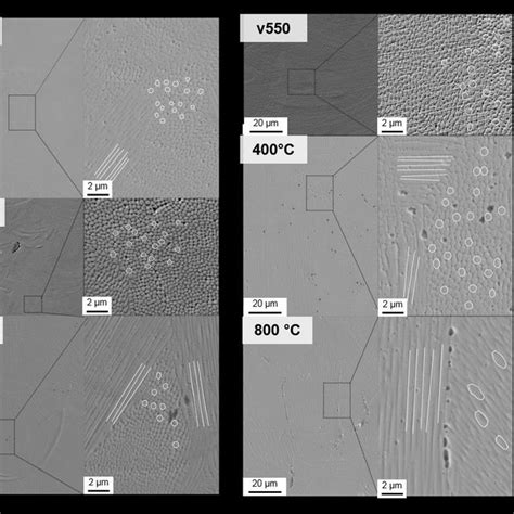 Se Micrographs Of L Pbf Produced X Mn Hmns In The Designated