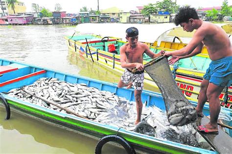 In Pangasinan Farm Time Shifts Amid Climate Change