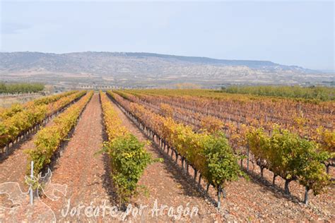 Valle Medio Del Huecha Atravesando La Ruta De La Garnacha Jor Ate