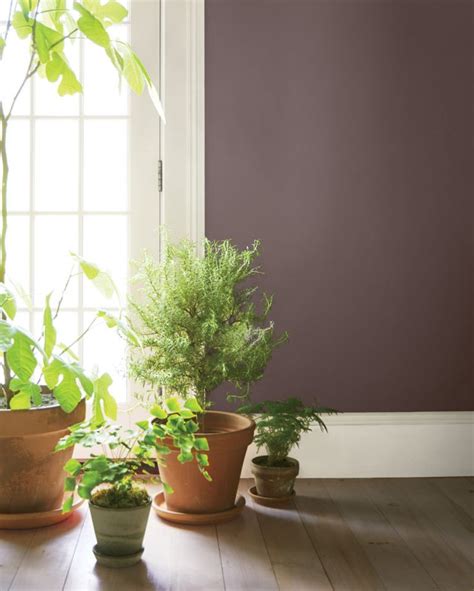 Benjamin Moore Colour Of The Year Claire Jefford Benjamin