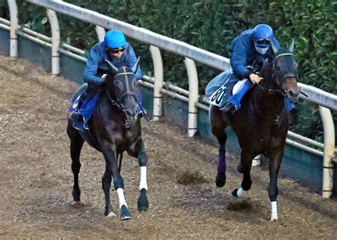 【天皇賞】シャフリヤール万全 海外帰り4カ月半ぶり実戦も仕上がり良好「心技体が整った」 競馬ニュース Netkeiba