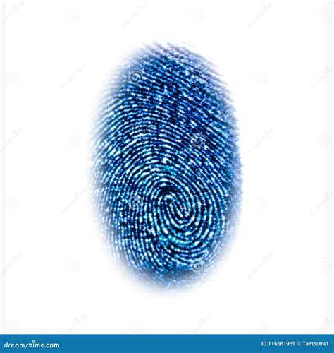 Blue Fingerprint Identification Symbol Isolated On White Stock