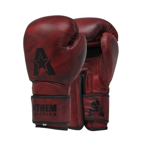 Top 10 Best Muay Thai Gloves (2022 Reviews) - PunchPrime