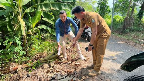 Warga Jambe Temukan Bayi Laki Laki Baru Lahir Di Dalam Kardus