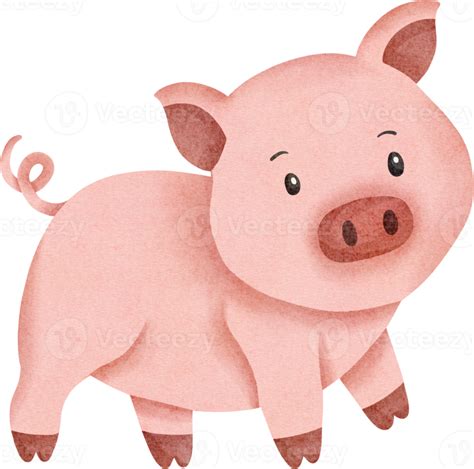 Cute Pig Watercolor 16536679 Png