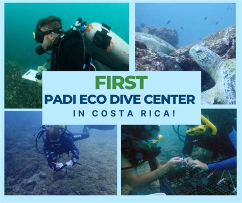 Dive Into Sustainable Adventure Oceans Unlimited Becomes Costa Ricas