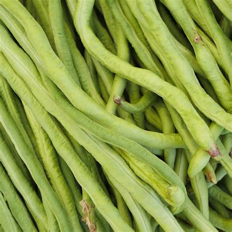 California Black Eye Bush Beans 25 Lb Non Gmo Heirloom Black