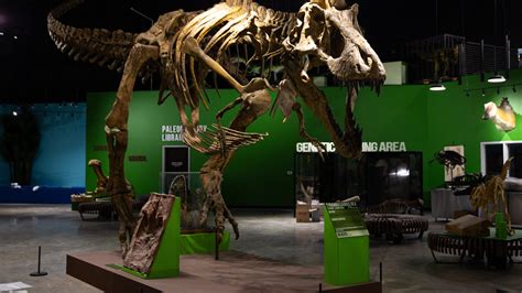 The Indiana Dinosaur Museum Opens This Week In South Bend🦕