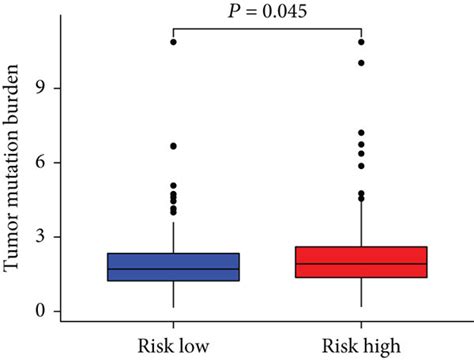 Tumor Mutation Burden Tmb Map A The Top 20 Mutated Genes In The Download Scientific