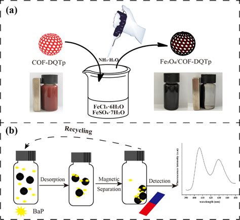 The Procedure For A Synthesis Of Fe3o4cof Dqtp Adsorbent And B Removal Download Scientific