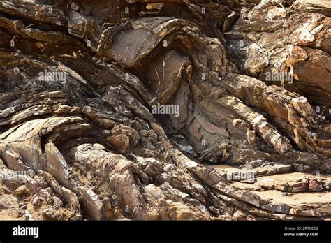 Carboniferoues Hi Res Stock Photography And Images Alamy