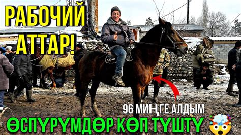 ӨСПҮРҮМДӨР РАБОЧИЙ АТТАР #байтв - YouTube