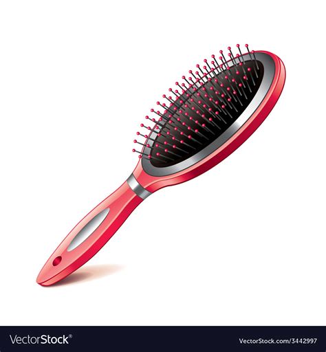 Hair Brush Isolated Royalty Free Vector Image Vectorstock