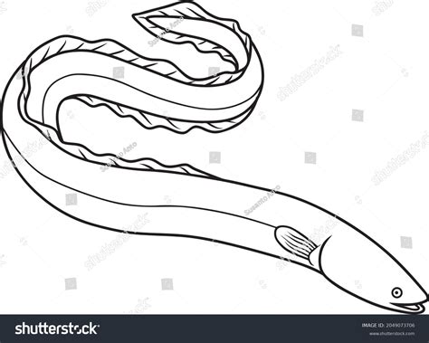 Electric Eel Drawing