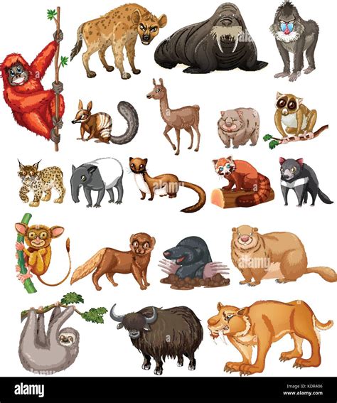 Wild animals on white background illustration Stock Vector Image & Art ...