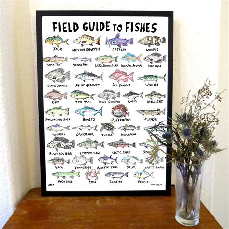 Fish Illustrated Print Fish Poster / Wildlife Wall Art / Gift for ...