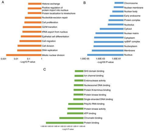 A Representation Of Gene Ontology Terms Using Database For Annotation