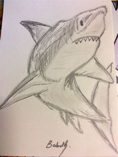 A Drawing Of A Shark With Its Mouth Open