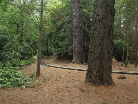 Exbury Gardens Steam Railway Track And Trees At Exbury Flickr