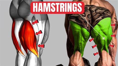 Build Bigger Legs🔥💪 Hamstrings Exercise Grow Massive Legs Youtube