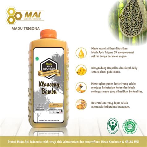 Jual Madu Klanceng Bambu 1000 Gr Lebah Apis Trigona Madu Asli