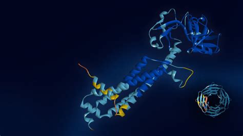 From AlphaFold2 To OpenFold To Protein Structure Prediction In