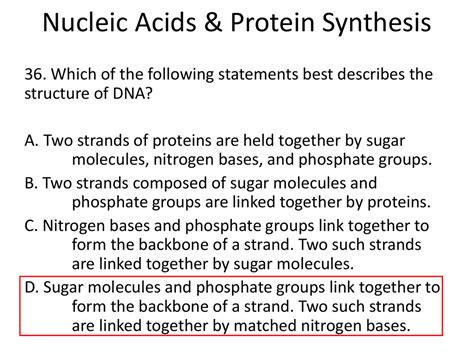 Nucleic Acids & Protein Synthesis