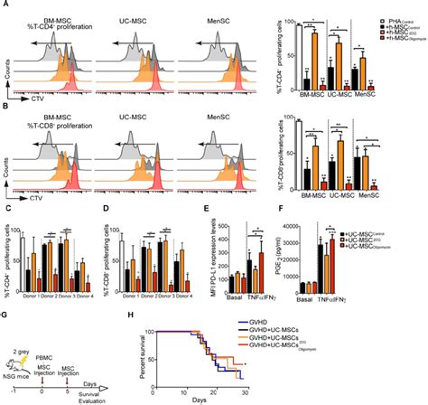 Oligomycin Synchronizes And Enhances The Immunosuppressive Potential Of