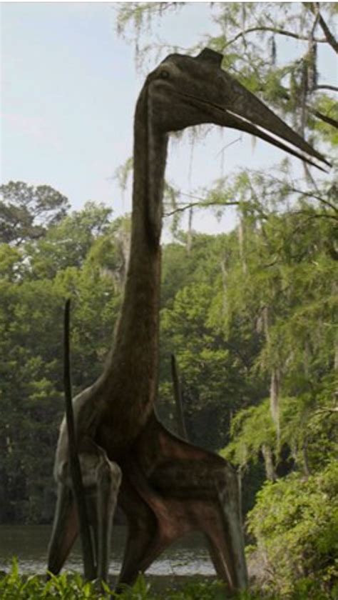 Quetzalcoatlus Keyesi Orignal Species Database Wiki Fandom