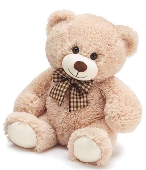 Plush- Teddy Bear - Hoover-Fisher Florist