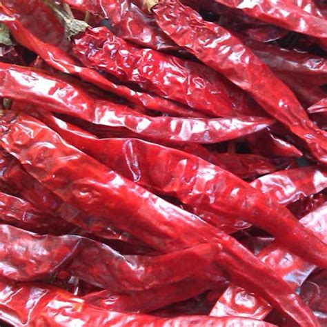 Long Red Chilli Pack Size Kilogram 1 5 Kg At Rs 12000 Quintal In