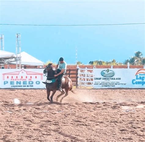 Penedo sedia primeira edição do Circuito Ouro Verde de Vaquejada