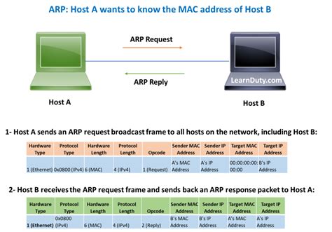 Arp Vs Garp Vs Rarp Explained With Wireshark Capture And Examples