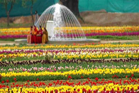 16 Rose Garden Delhi Ideas You Should Check Sharonsable