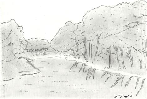 Forest Pencil Sketch At Explore Collection Of