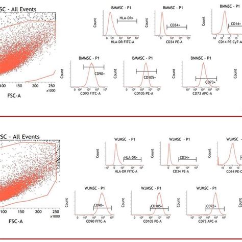 Flow Cytometry Events Illustrating Hbm Mscs And Hwj Mscs Download