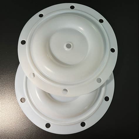 Bsk Pump Replacement Parts Ptfe Diaphragm Used On Bsk Aodd Pump China