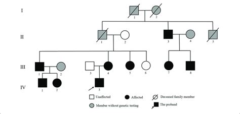 | Pedigree of the Chinese family with Liddle syndrome. The arrow ...