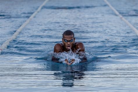 ACCUEIL Les Dauphins Du TOEC