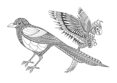 Раскраска антистресс птицы - 79 фото