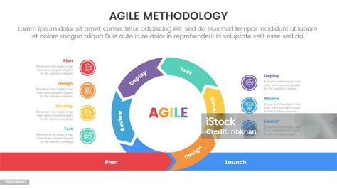 Vetores De Infográfico Da Metodologia Agile Sdlc Modelo De Estágio De 7 Pontos Com Centro