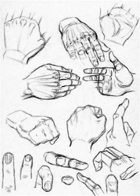 How To Draw Hands Reference Sheets And Guides To Drawing Hands How