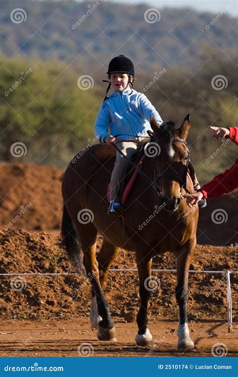 Small rider stock photo. Image of reins, partner, little - 2510174