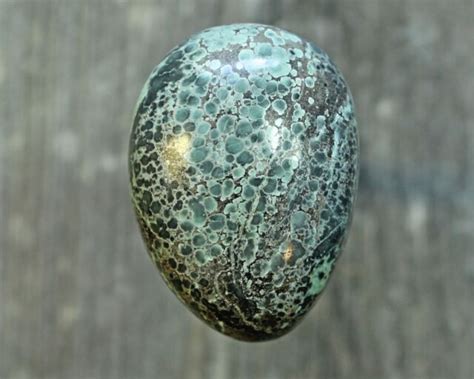 Fossil Turquoise Pseudo Morph Cabochon Cab Candelaria Mine Very Rare C